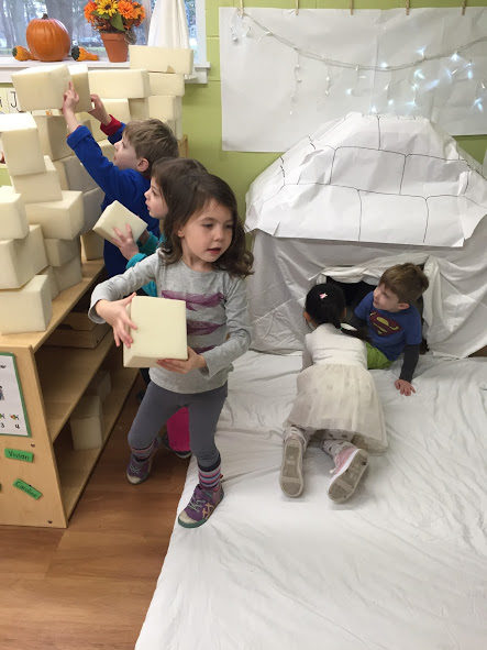 roost_igloo2