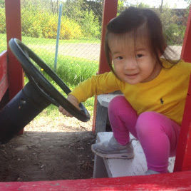 nest_playground_bus3_cropped